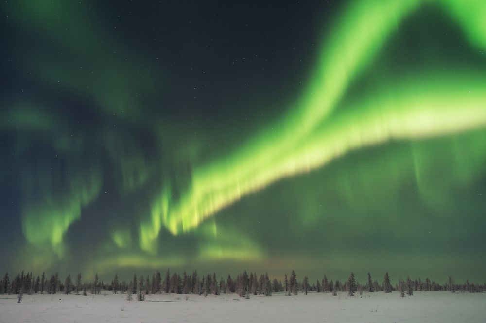 Фотография автора Евгения Шаравар