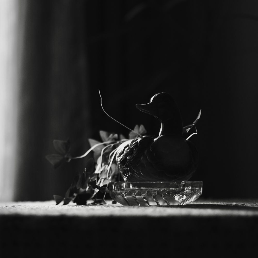 Photograph by Александр