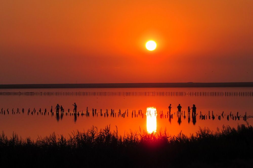 Photograph by Юлия