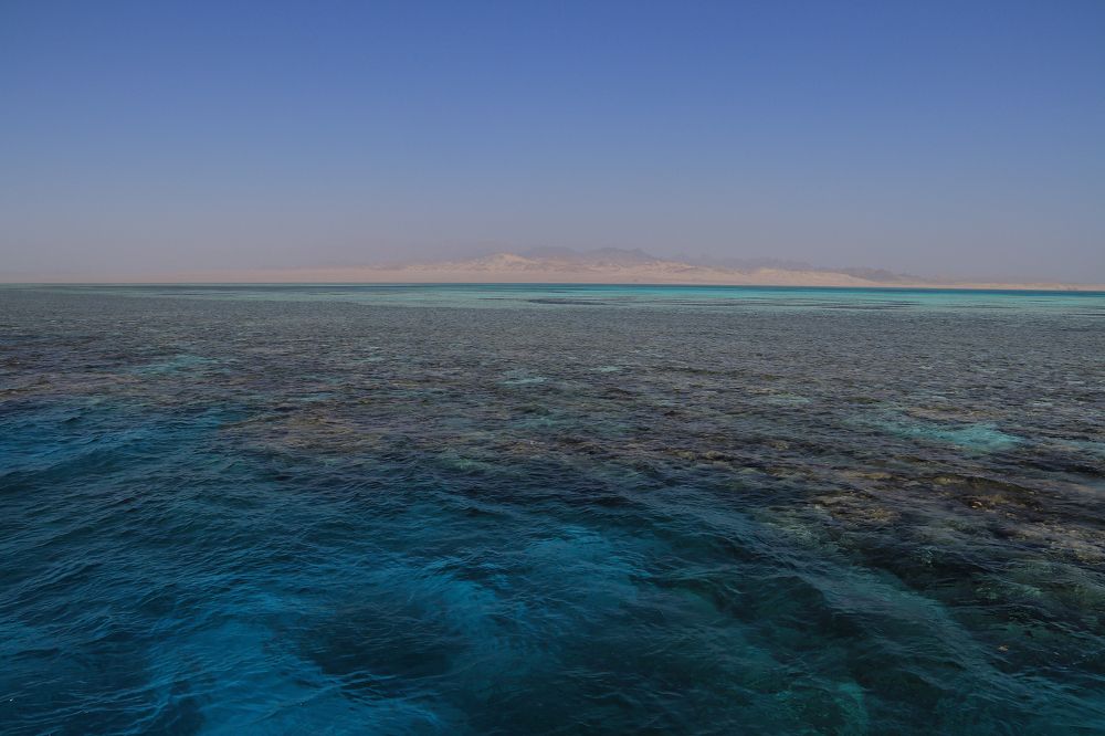 Красное море