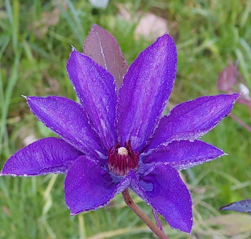 Photograph by Галина Маркова