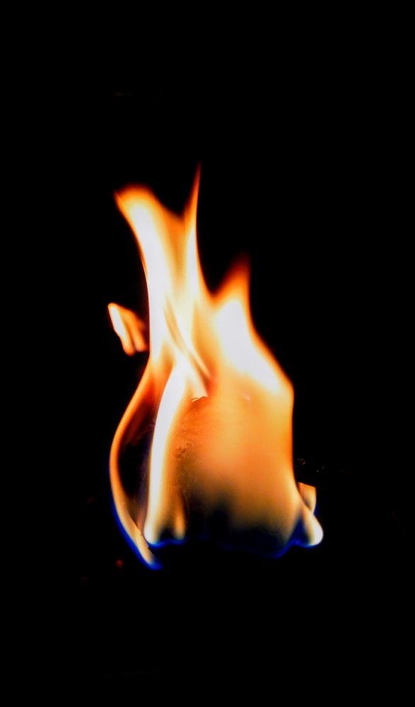 Photograph by Kate Hondochka