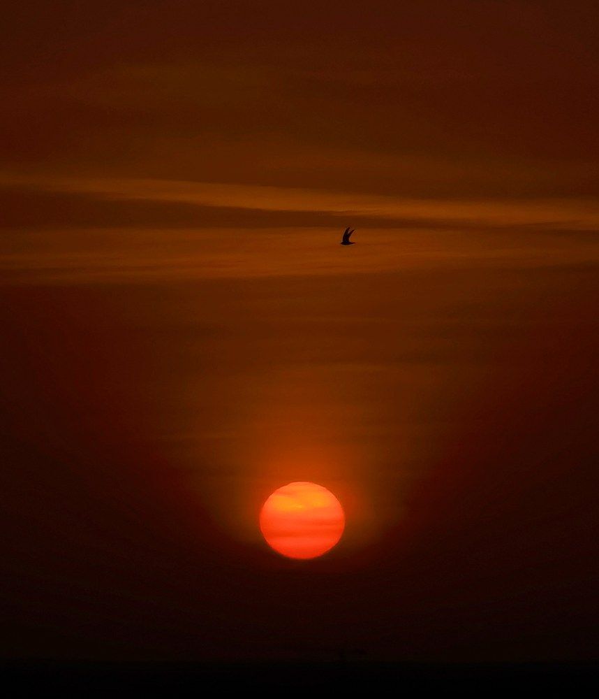 Photograph by Ольга