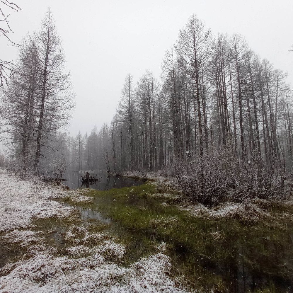 Photograph by Виталий