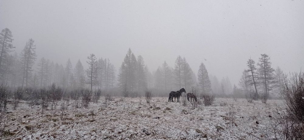 Photograph by Виталий