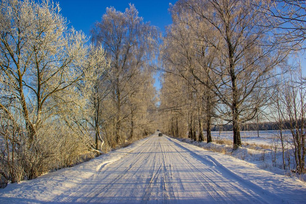 Photograph by Анна-Лаймуте Милошевич