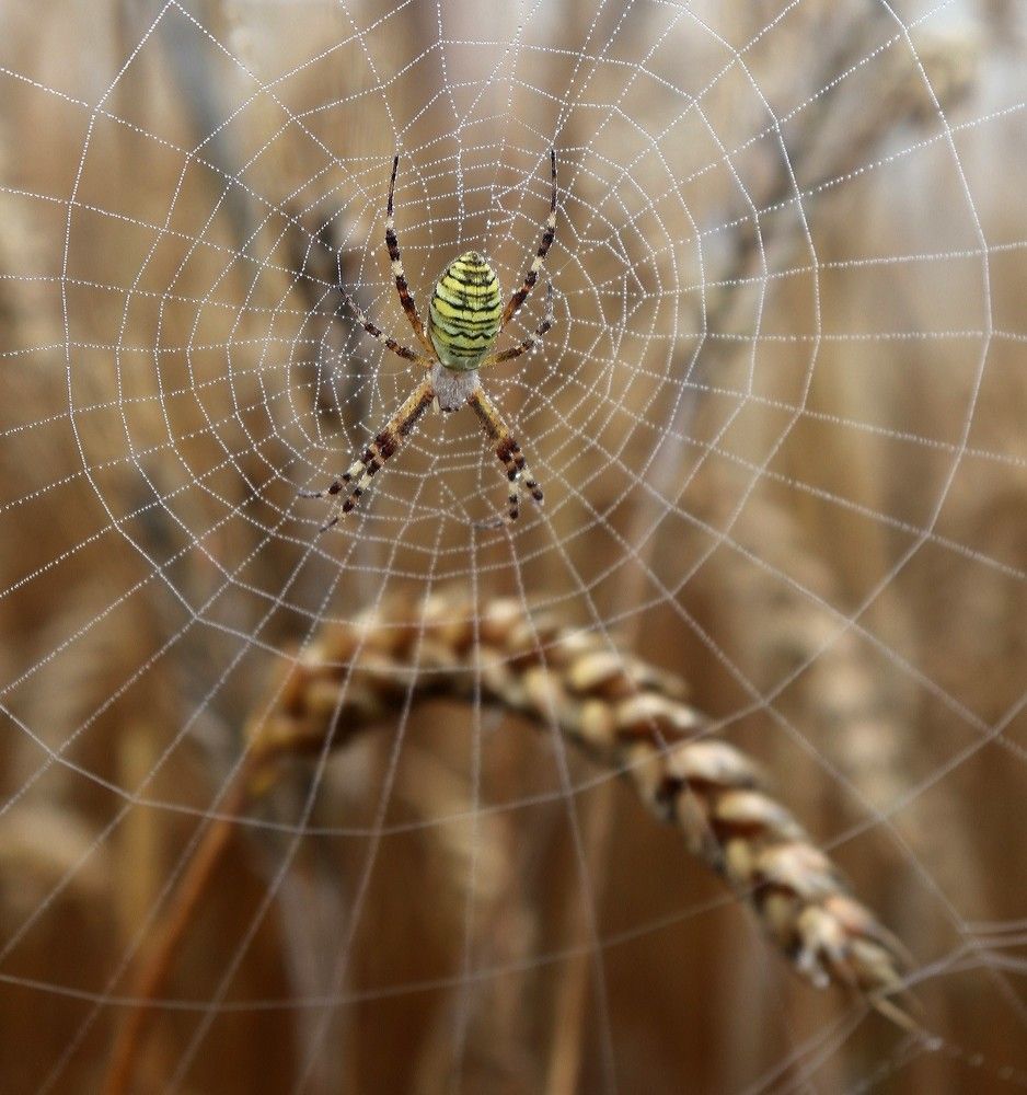 Photograph by Алексейчик Дмитрий