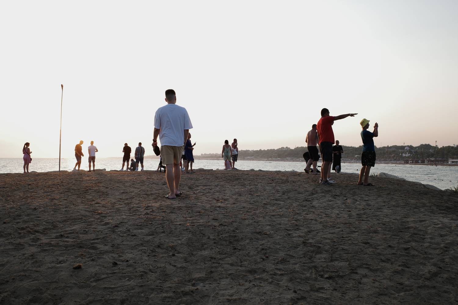 Photo #7234455