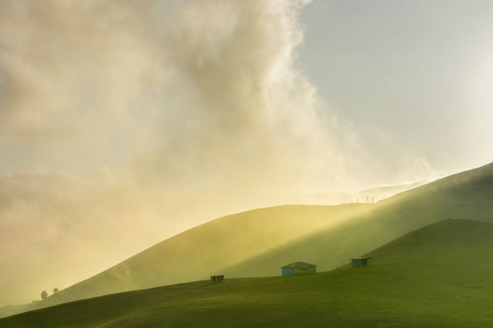 Photograph by Parsa Kamali