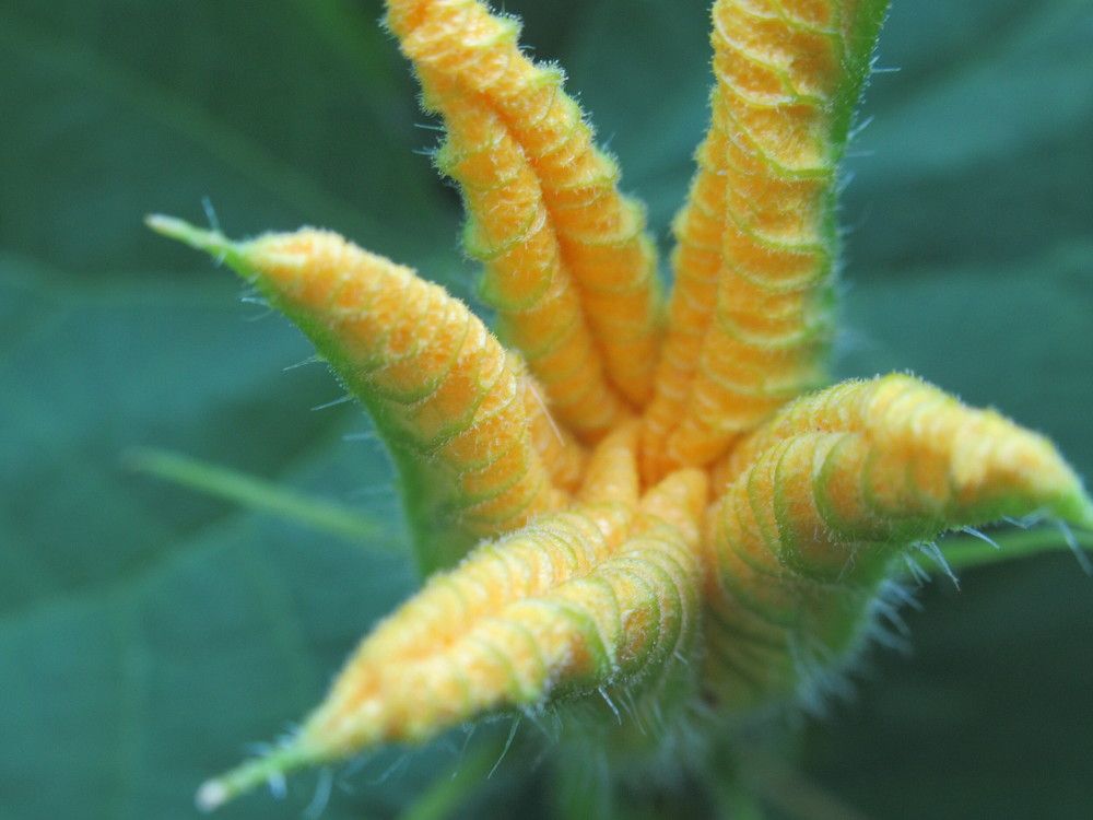 Photograph by Ирина Дворникова