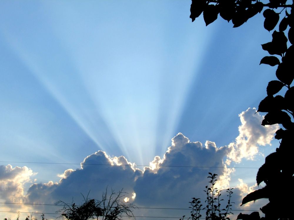 Photograph by Ирина Дворникова