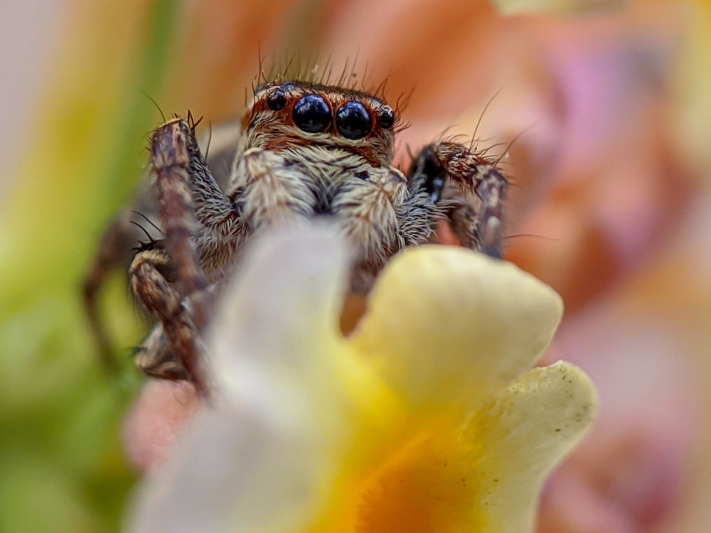 Photograph by Reynaldo Maynes