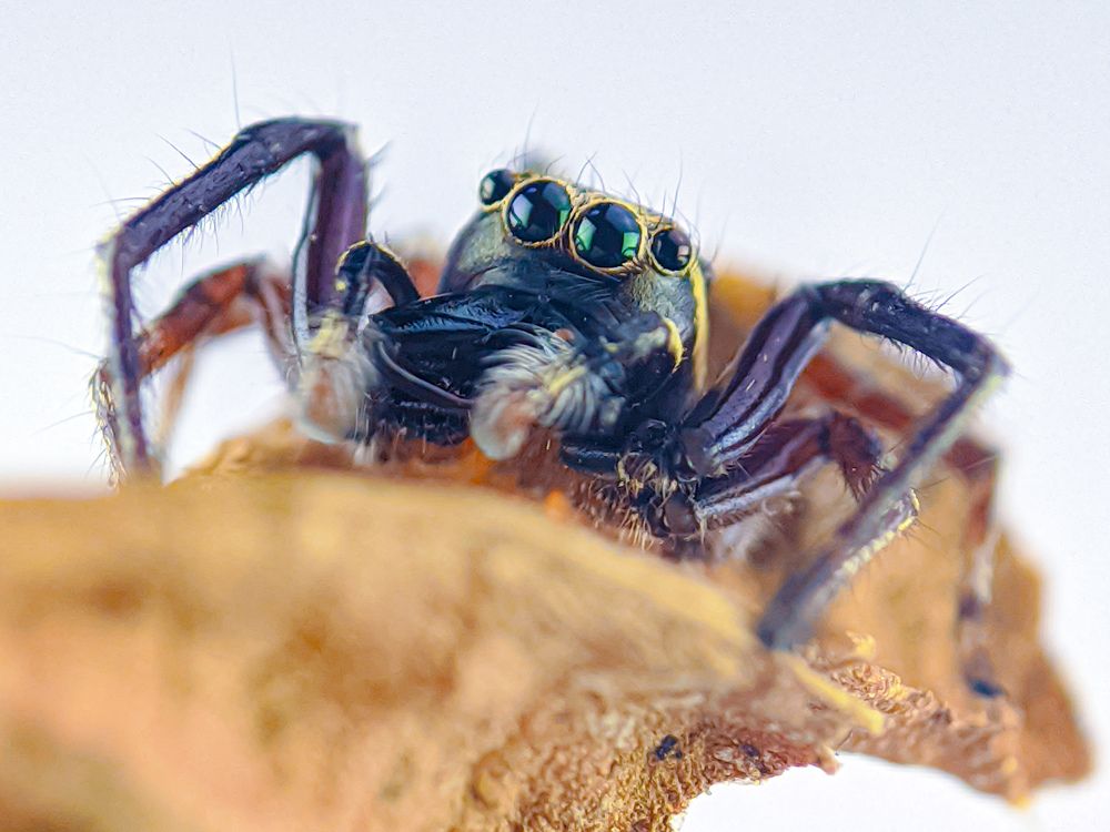 Photograph by Reynaldo Maynes