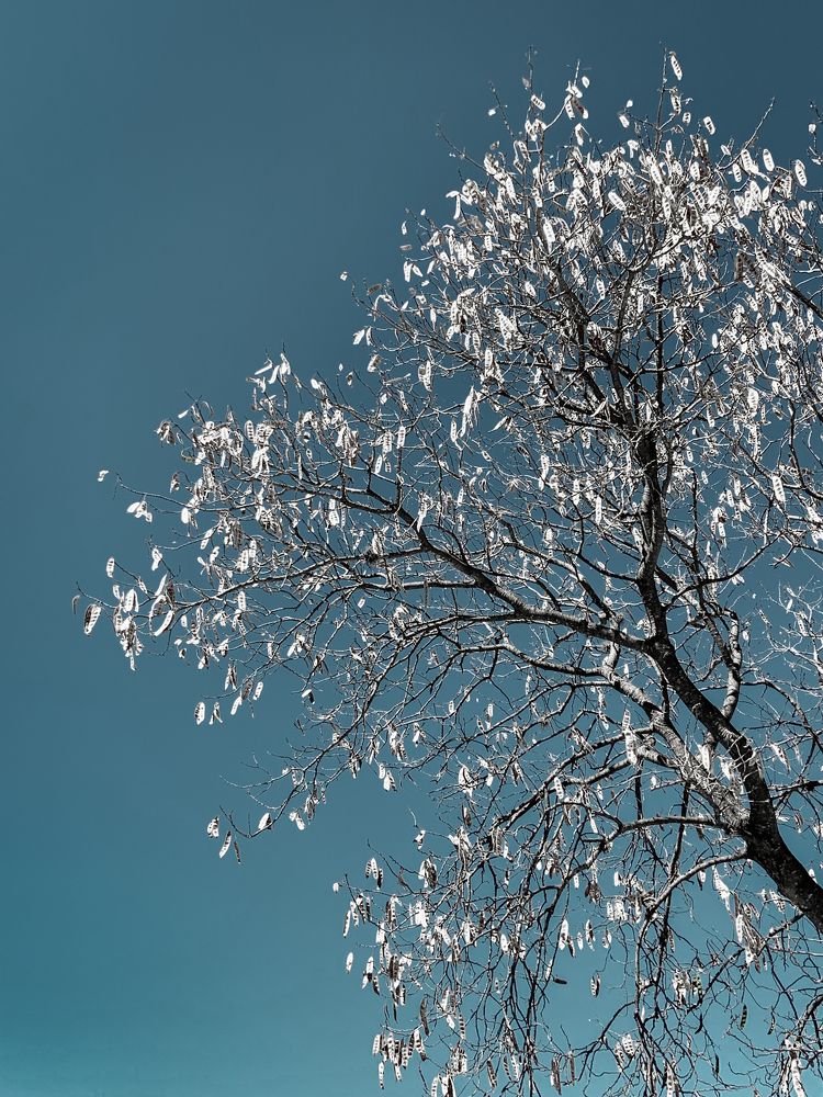 Фотография автора Dmitrii Aiupov