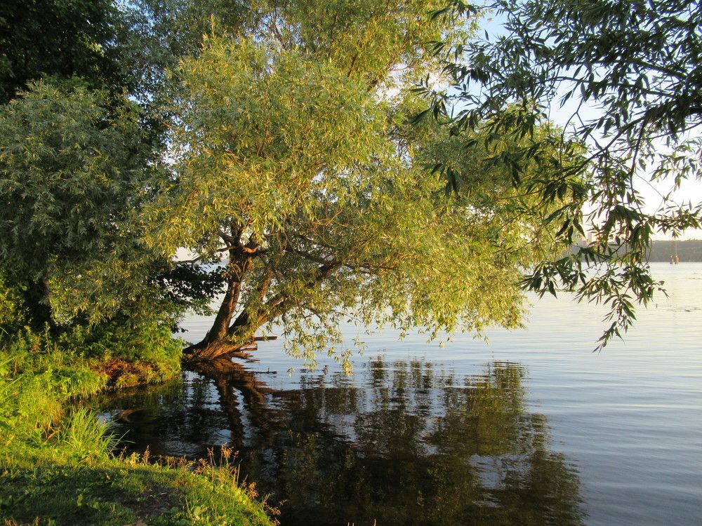 Photograph by Ирина Дворникова