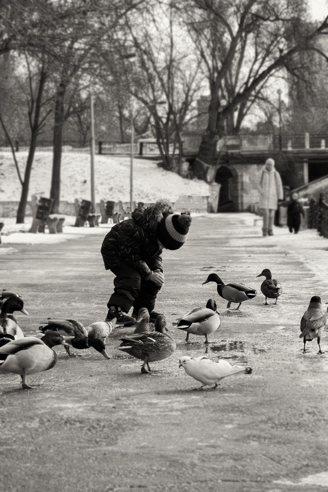 Photograph by Нелли Золотая