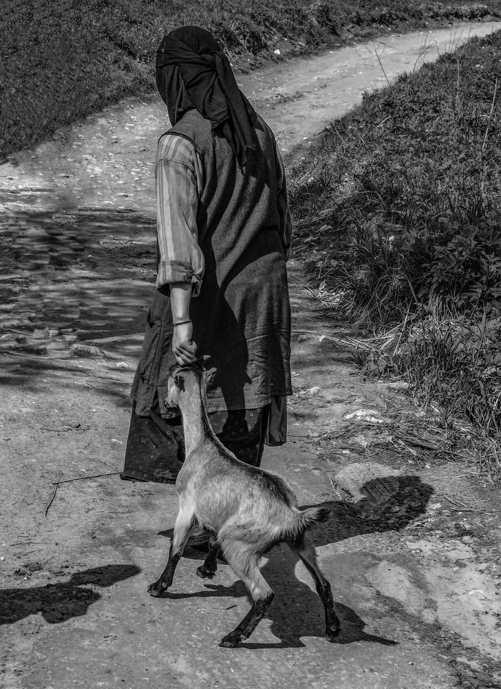 Photograph by Елена Зинцова