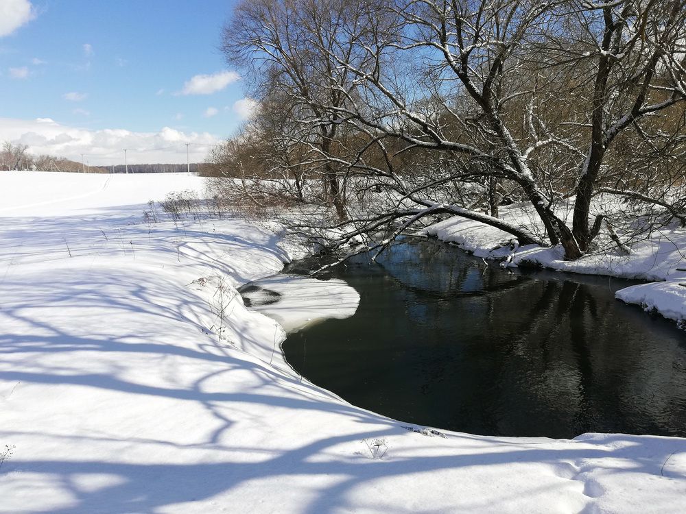 Photo #7234599