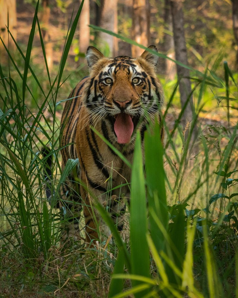 Photograph by digambar chaple