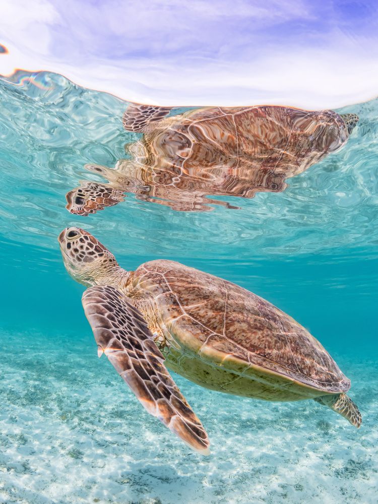 KERAMA Islands, Okinawa, JAPAN