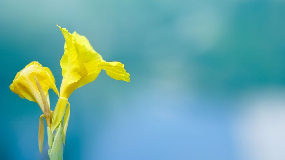 Одиночество