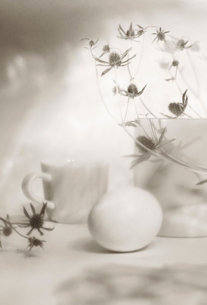 Photograph by Светлана