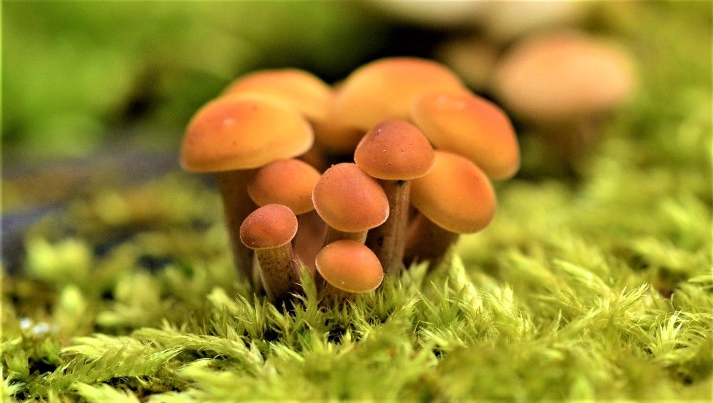 Photograph by Сергей Зубов