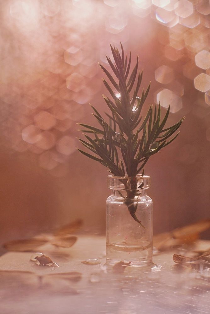 Фотография автора Анжелика