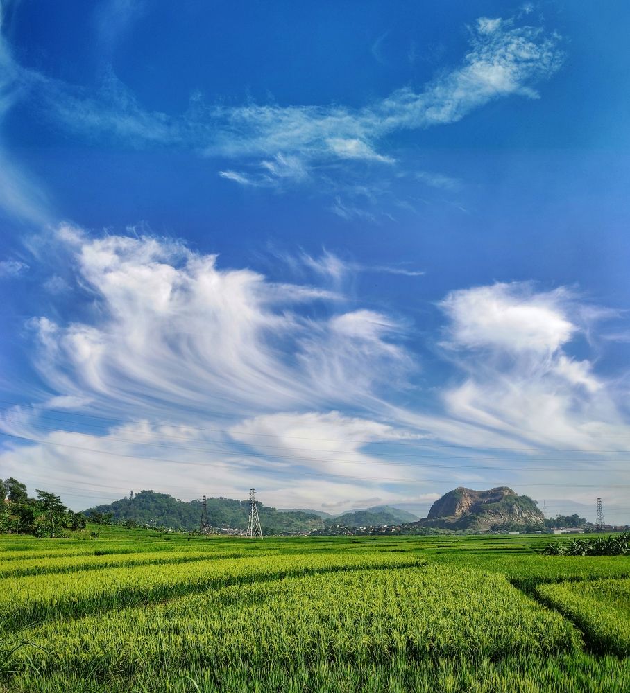 Photograph by  Oscar Simon Wiryahanjaya