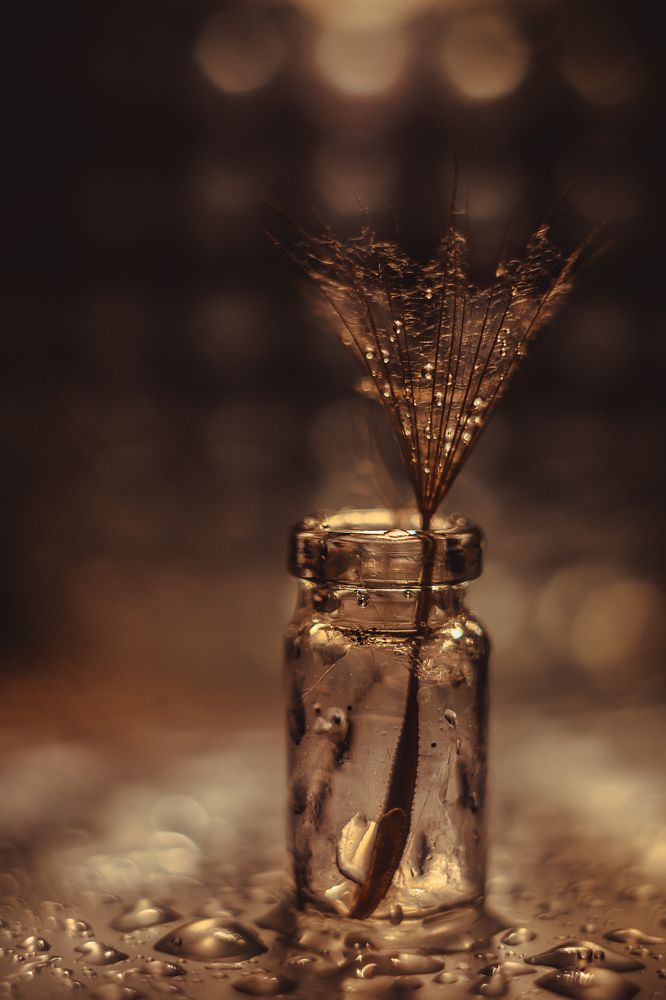 Фотография автора Анжелика