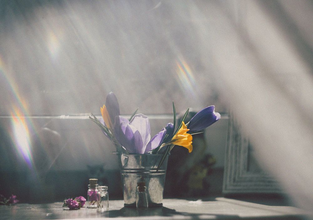 Фотография автора Анжелика