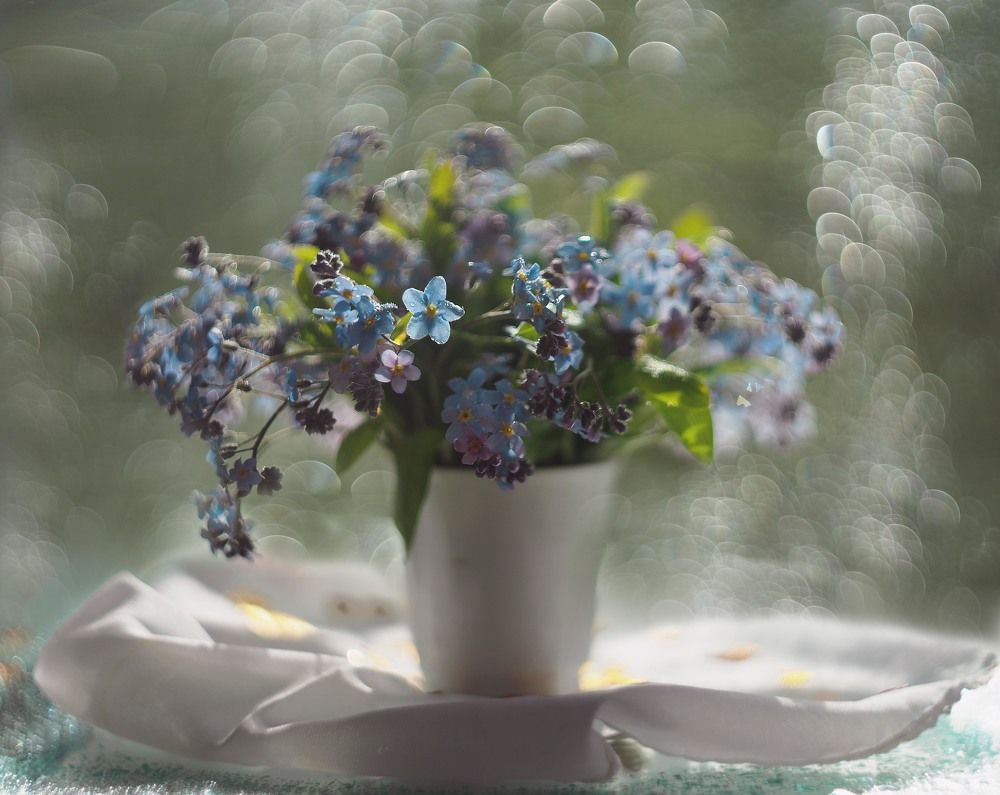 Фотография автора Анжелика