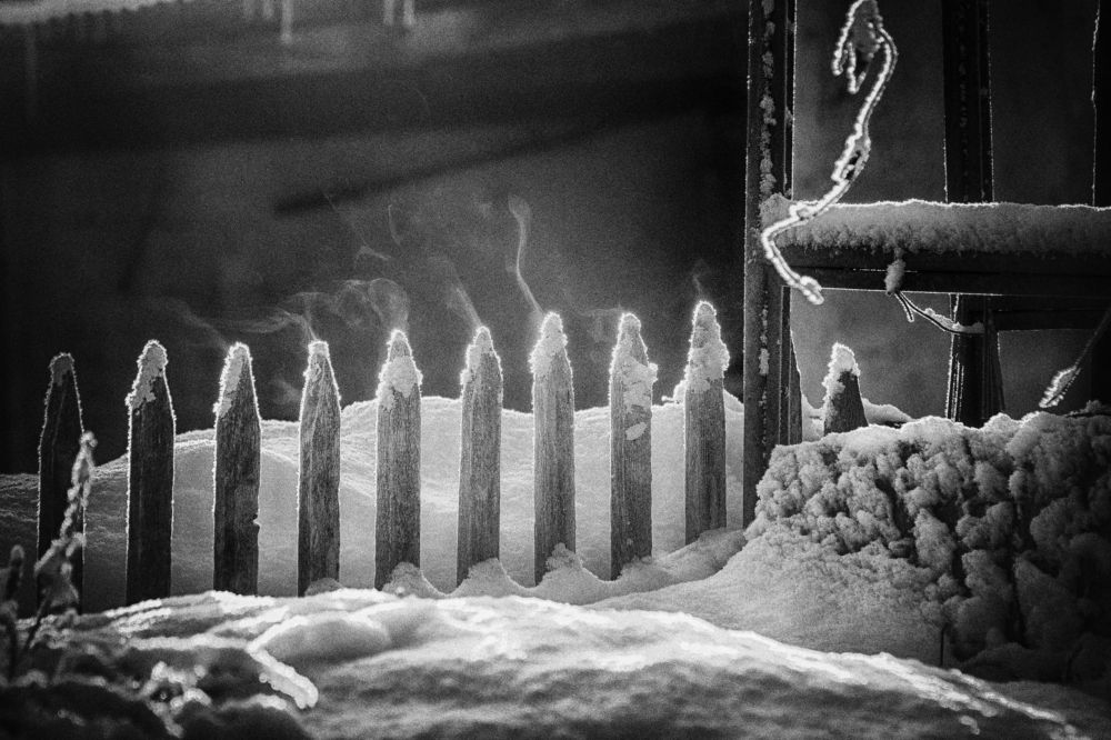 Photograph by Владимир Лосман