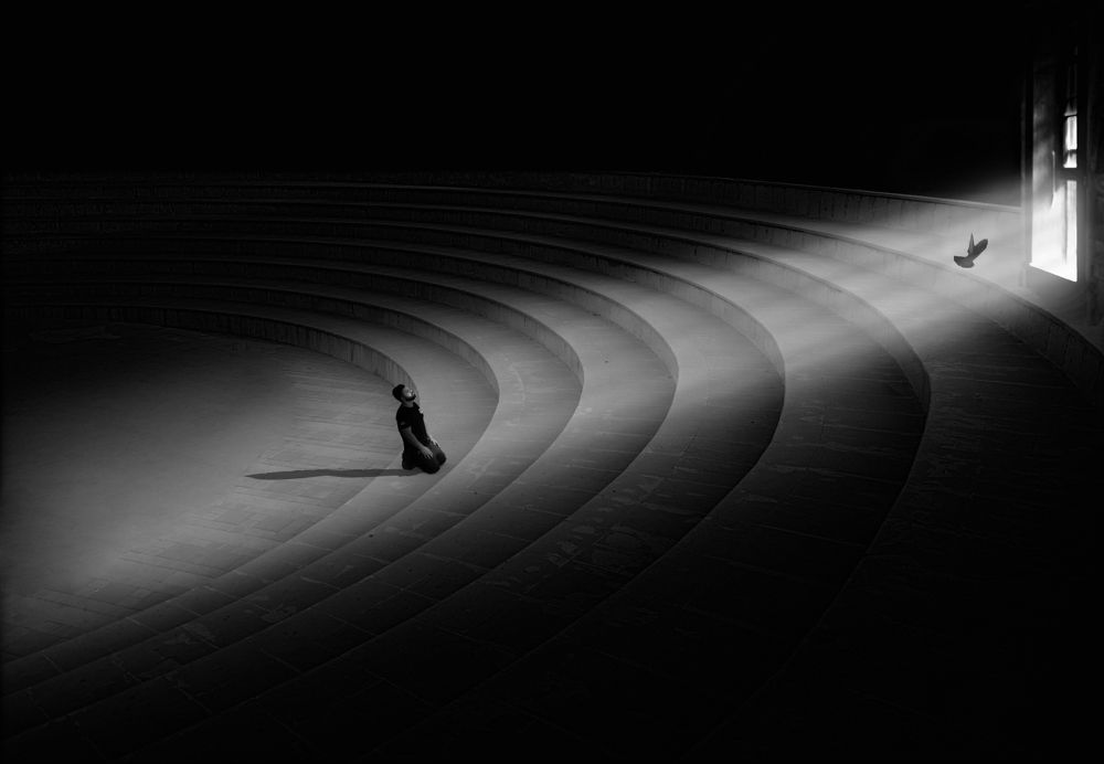 Фотография автора Alireza Bagheri sani