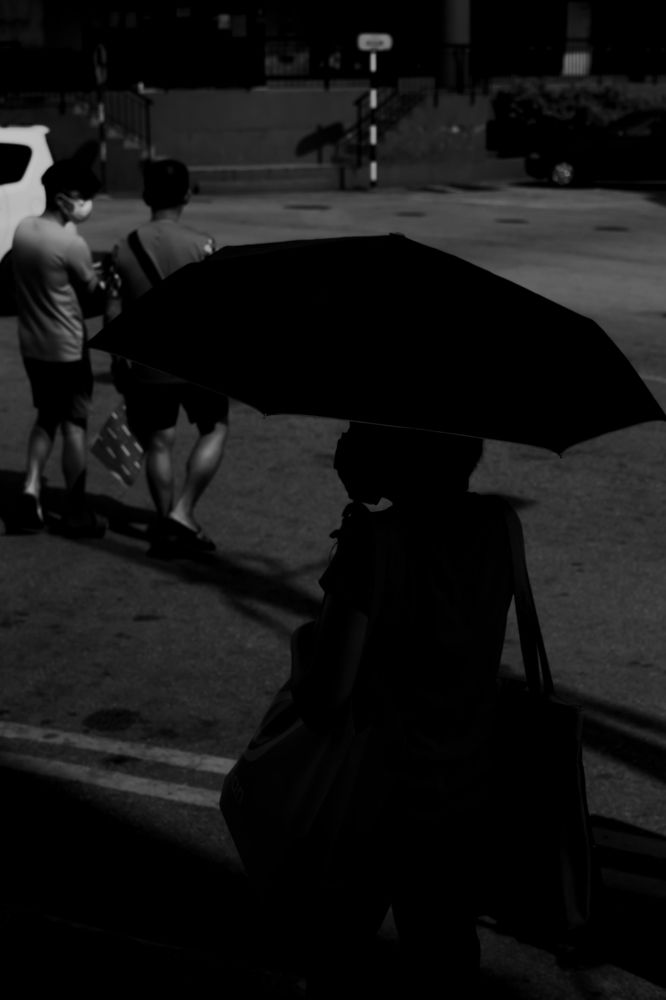 Umbrella Woman Under the Sun