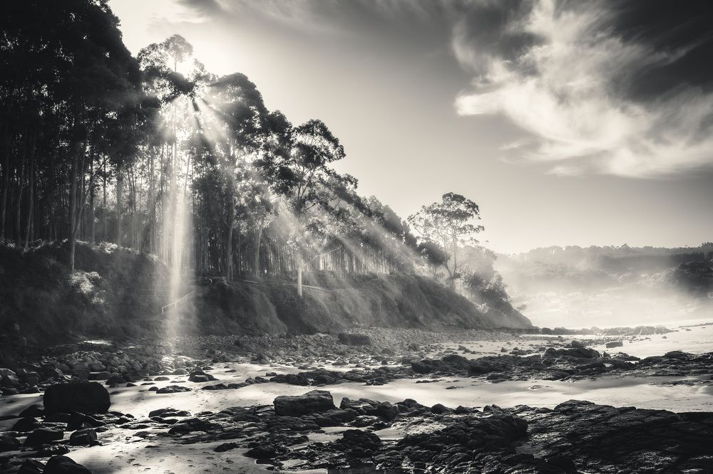 Photograph by Murcia J. A.