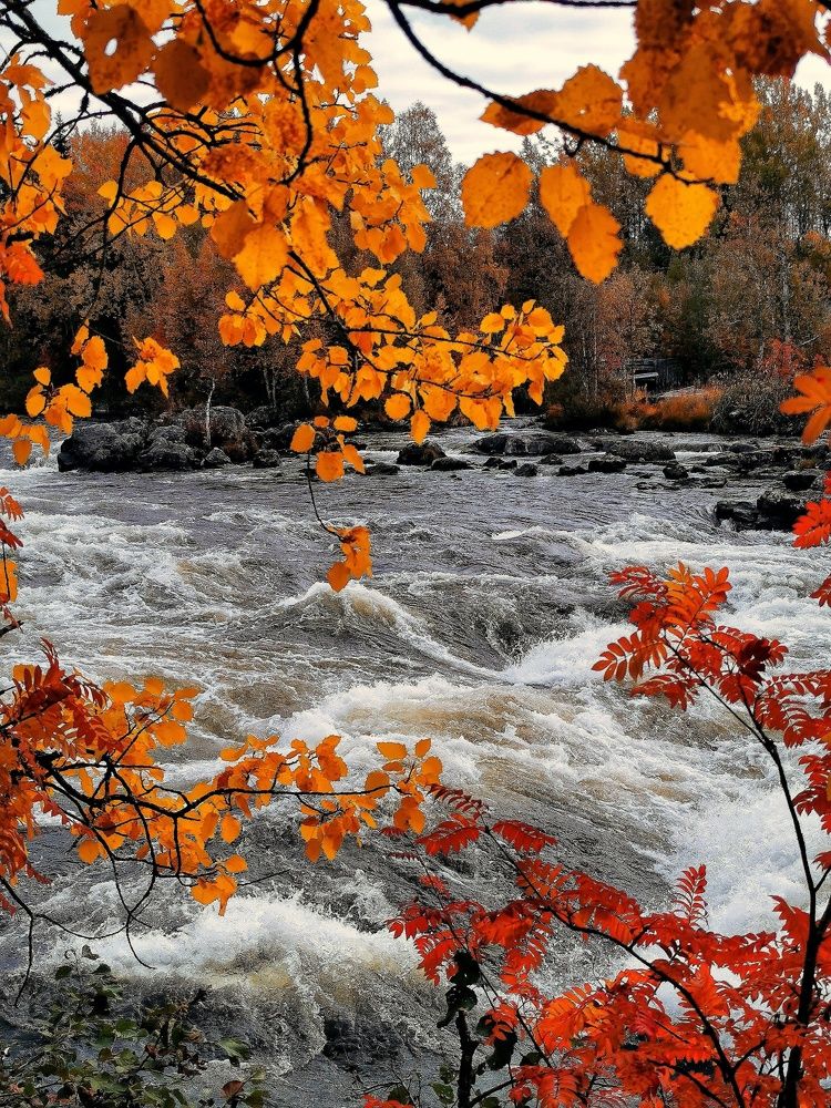 Photograph by Елена Артёменко