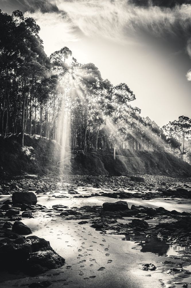 Photograph by Murcia J. A.