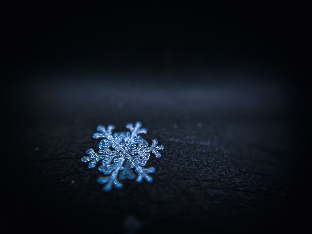 Photograph by Елена Алименко