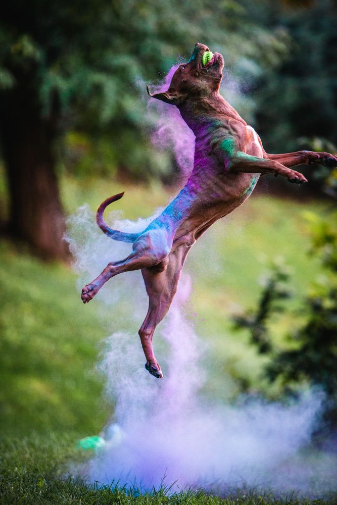 Photograph by Виола Поликарпова