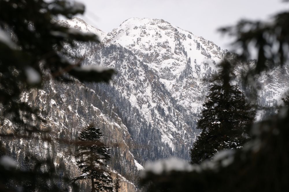 Photograph by Ренат Урусов