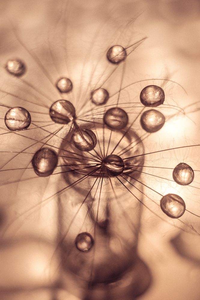 Фотография автора Анжелика