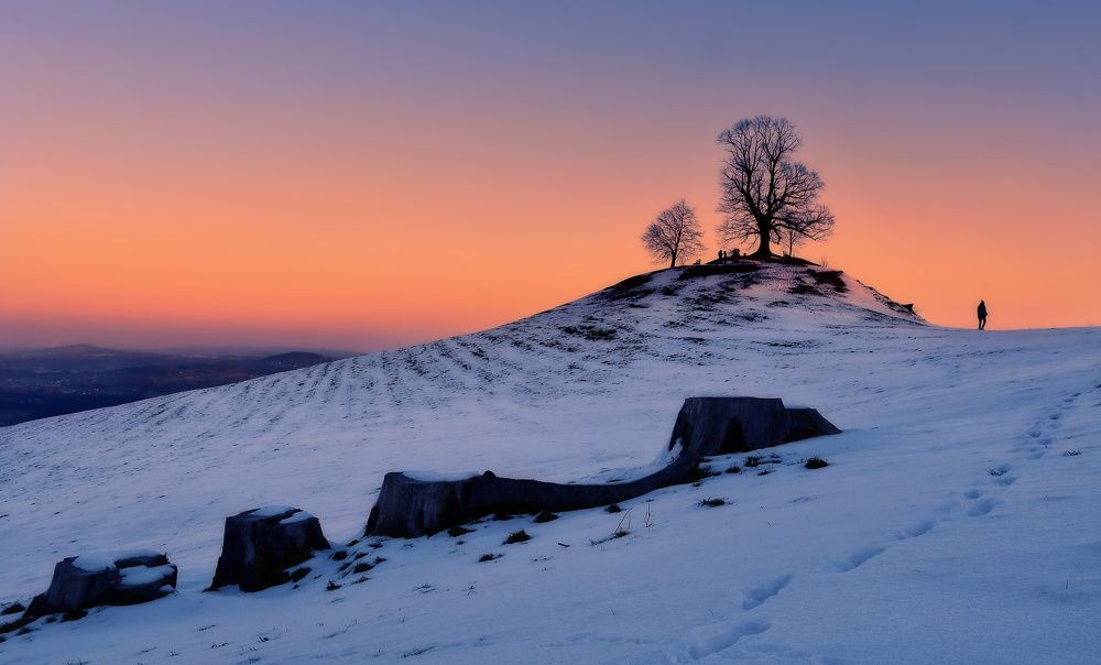 Photograph by Elena Wymann