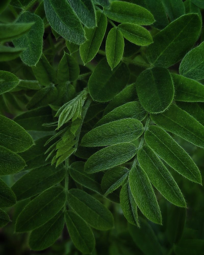 Фотография автора Olga Kunakova