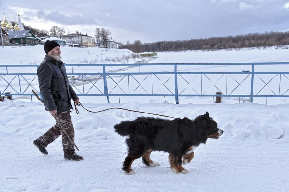 Photograph by Коротков Алексей