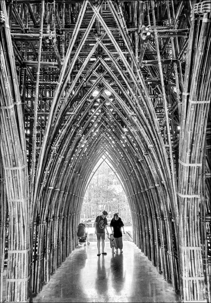 Bamboo building visitors