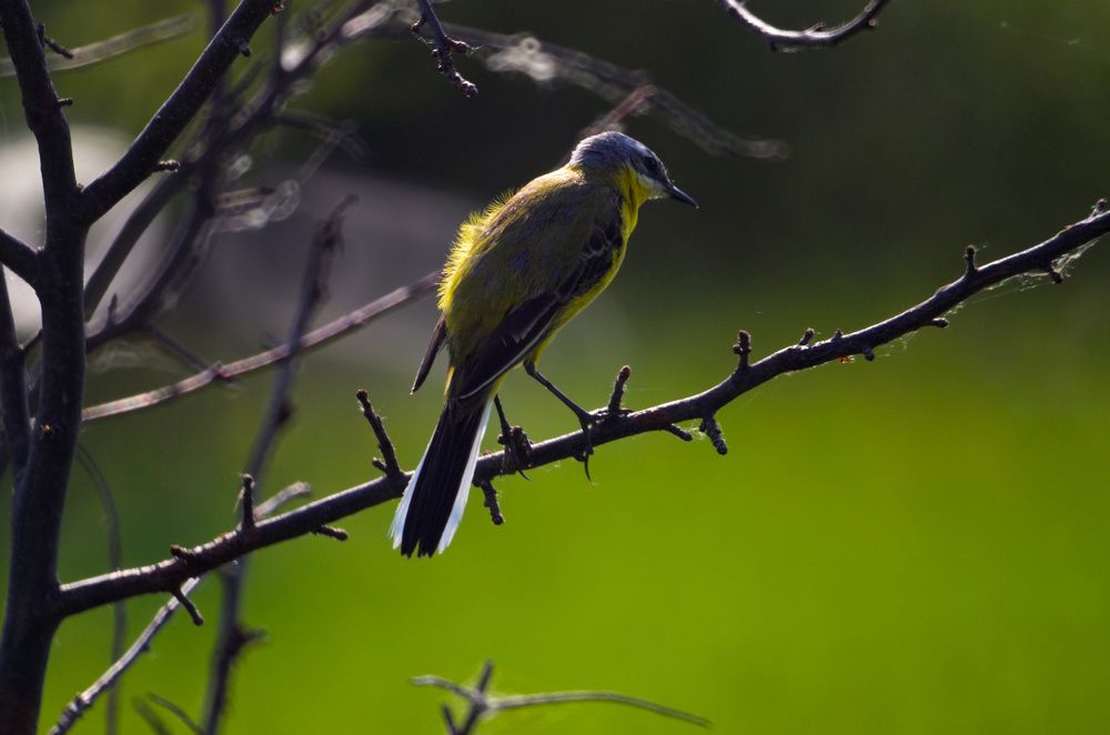 Фотография автора Вадим Писарев