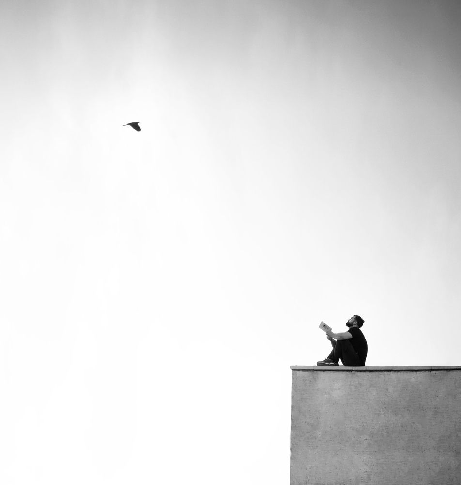 Фотография автора Alireza Bagheri sani