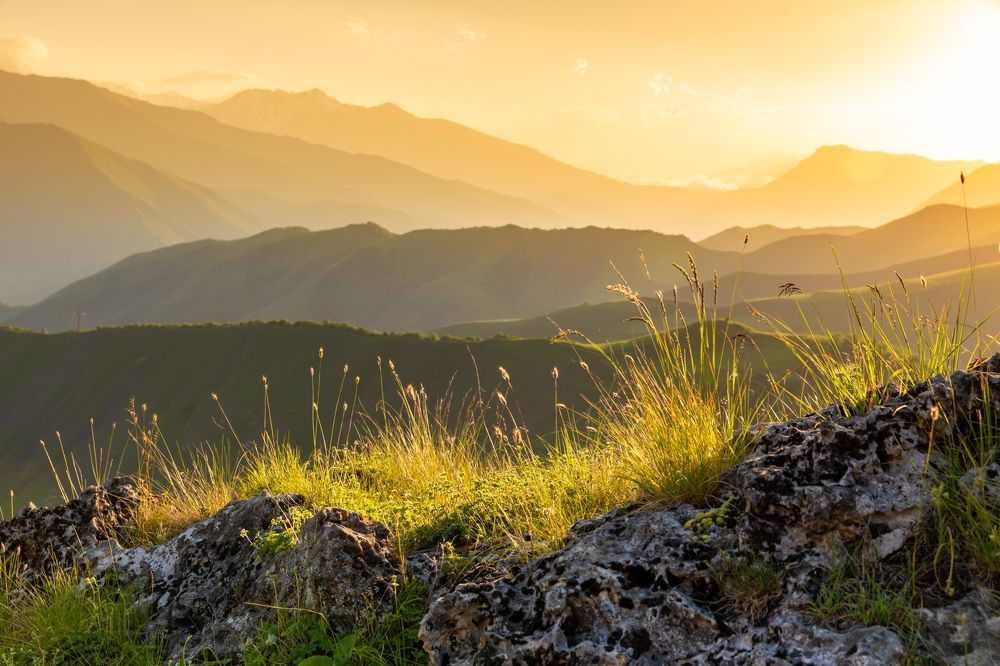 Photograph by Евгения Чех