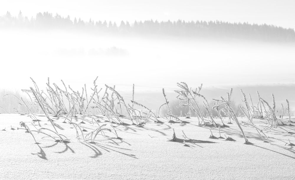 Фотография автора Анастасия Боброва